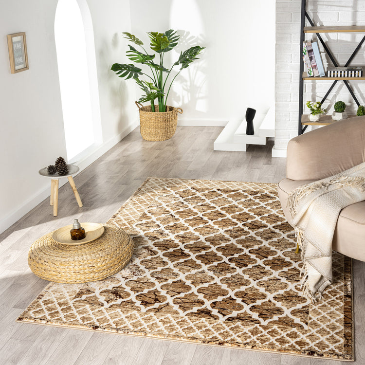 Maroc Brown