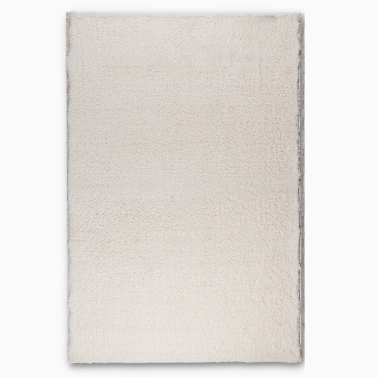 Ivory Splendor Rug,Super Soft Area Rugs for Home and Office